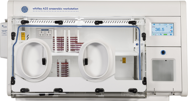 Whitley A35 Workstation with Oval Ports